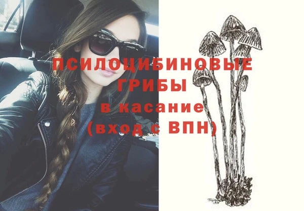 молекула духа Коряжма