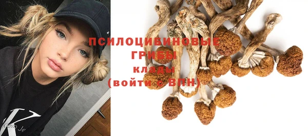 MDMA Premium VHQ Козельск