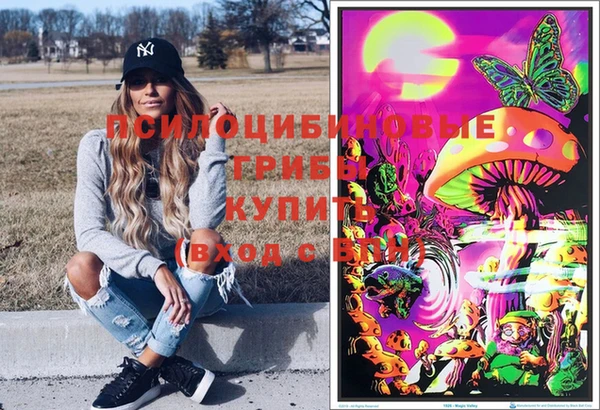 молекула духа Коряжма