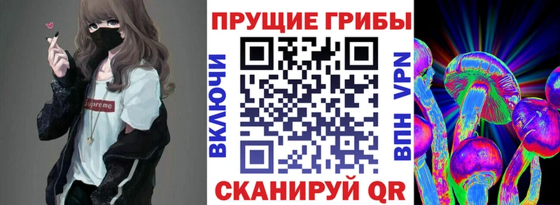 Галлюциногенные грибы MAGIC MUSHROOMS Кремёнки